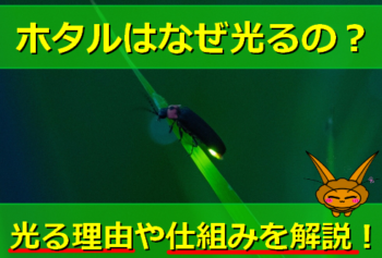 Thumbnail of post image 192